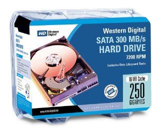 Western Digital WD2500KSRTL Caviar SE16 250 GB SATA 3.5 Inch Hard Drive Kit: Electronics