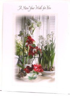 Happy New Year Cards "A New Year Wish for You" with flowers of 6 Holiday Design Studio: Health & Personal Care