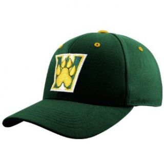 NCAA Top of the World Wright State Raiders Green Team Logo One Fit Hat: Clothing