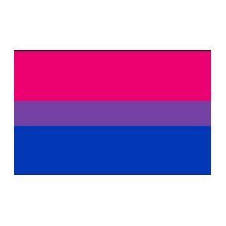 Gay Rainbow Sisters Flag Sticker Bisexual Pride Flag: Automotive
