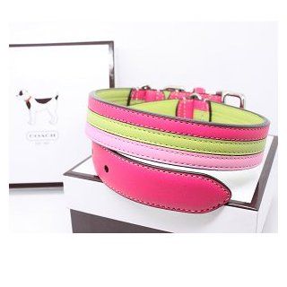 COACH Striped Multicolor Leather Collar with Engraveable Charm 60407 Limited Edition   Lime/Pink, Large (17" 21") : Pet Fashion Collars : Pet Supplies