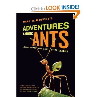 Adventures among Ants: A Global Safari with a Cast of Trillions: Mark W. Moffett: 9780520271289: Books