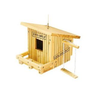 E Z Build Wood Projects Bird Clubhouse: Toys & Games