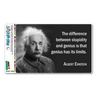 Stupidity Genius Has Limits Einstein   Funny MAG NEATO'STM Automotive Car Refrigerator Locker Vinyl Magnet: Automotive