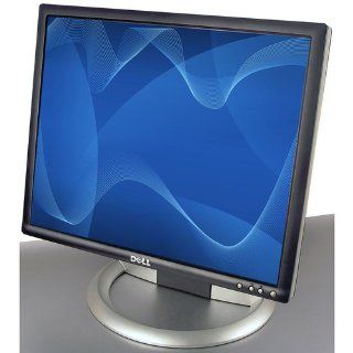 19" Dell UltraSharp 1905FP DVI Rotating LCD Monitor w/USB 2.0 Hub (Black/Silver)  Rotates to Portrait or Landscape View Computers & Accessories