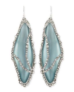 Crystal Caged Lucite Dragonfly Wing Earrings, Gray/Blue   Alexis Bittar   Gray