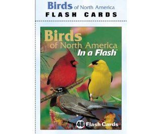 Impact Photographics Flash Cards Birds North American, 48 Different Birds, Educational Information: Everything Else