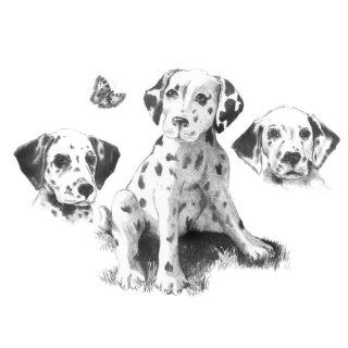 Sketching Made Easy Large Kit Dalmatians : Office Products : Office Products