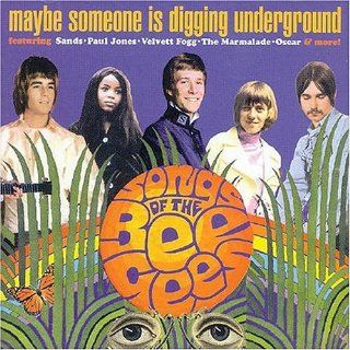 Maybe Someone Is Digging Underground: Songs of Bee: Music
