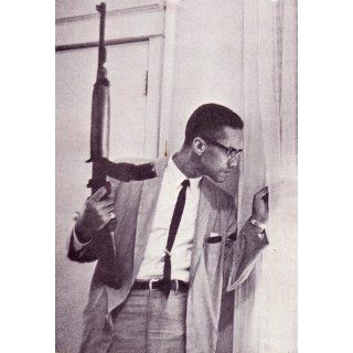 Malcolm X: By Any Means Necessary: Walter Dean Myers: 9780590481090: Books