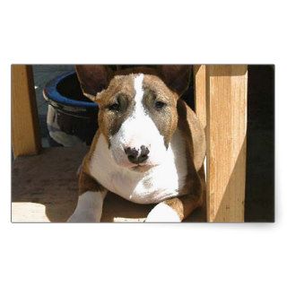 Cute English Bull Terrier Puppy Sticker