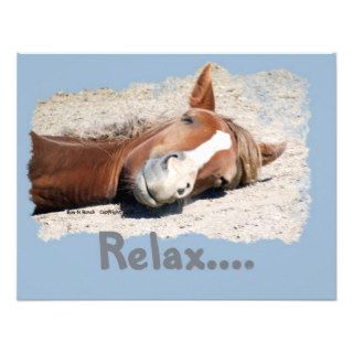 Funny Horse: Relax Announcements