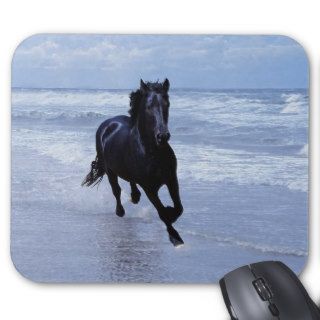 A horse wild and free mouse pad