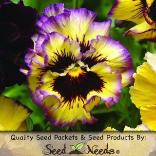 25 Seeds, Pansy "Fizzy Lemonberry" (Viola x wittrockiana) Seeds By Seed Needs : Frilly Pansy : Patio, Lawn & Garden
