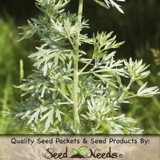 500 Seeds, Wormwood (Artemisis absinthium) Seeds by Seed Needs : Herb Plants : Patio, Lawn & Garden
