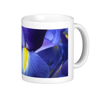 Shy Iris mug