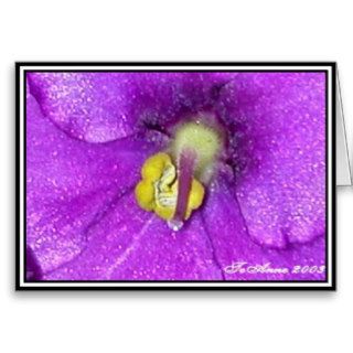 Purple African Violet Macro Greeting Card