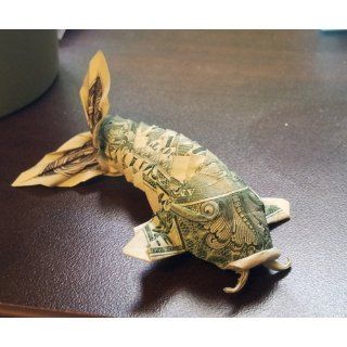 Dollar Origami: 10 Origami Projects Including the Amazing Koi Fish: Won Park: 9781607102816: Books