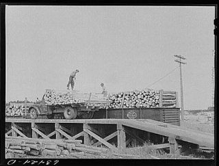 Photo: Loading pulpwood onto railroad cars. Springbrook, Wisconsin   Prints
