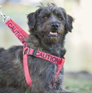 "CAUTION" Red Color Coded Non pull Dog Harness (Do Not Approach) PREVENTS Accidents By Warning Others of Your Dog in Advance! : Pet Halter Harnesses : Pet Supplies