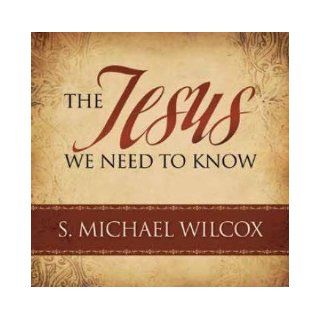 The Jesus We Need to Know: S. Michael Wilcox: 9781606410653: Books