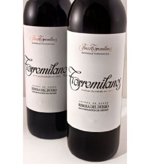 Finca Torremilanos Ribera del Duero Los Cantos 2008 Wine