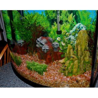 Exotic Environments Skull Mountain Aquarium Ornament, Medium, 9 Inch by 6 Inch by 6 Inch : Fish Tank Decorations : Pet Supplies