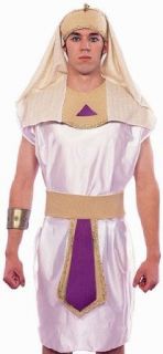 Adult Egyptian Ruler Costume: Clothing