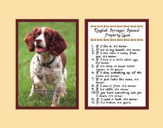 English Springer Spaniel Property Laws Wall Decor Pet Dog Saying Gift   Decorative Plaques