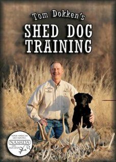 Tom Dokken's Shed Dog Training DVD  SA DVD  Dog Hunting NEW: Movies & TV