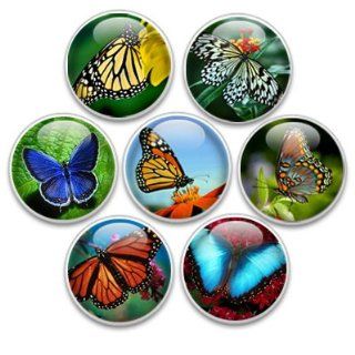 Decorative Push Pins or Magnets 7 Small Butterflies : Tacks And Pushpins : Office Products