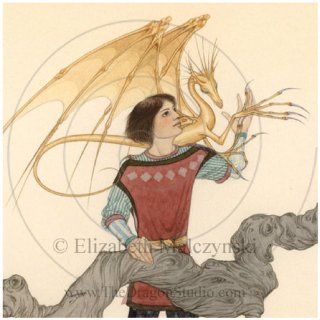Dragondrums (Harper Hall Trilogy): Anne McCaffrey: 9781416964919: Books