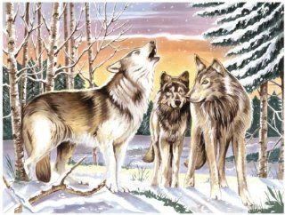 Malen nach Zahlen painting by numbers Wolfsszene Wlfe im Winter Gre 30 cm x 40 cm Mischen erforderlich: Küche & Haushalt