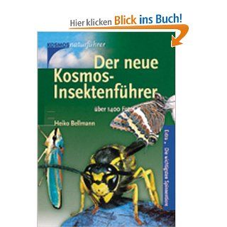 Der neue Kosmos Insektenfhrer: Extra: Die wichtigsten Spinnentiere: Heiko Bellmann: Bücher
