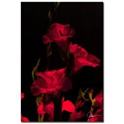 Herb Dickinson Gerber Time II Gallery Wrapped Canvas