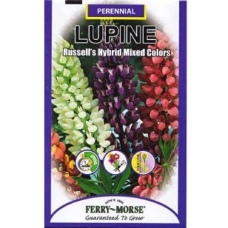 Ferry Morse 1 Gram Lupine Russell's Hybrid Mixed Colors Seed 1075