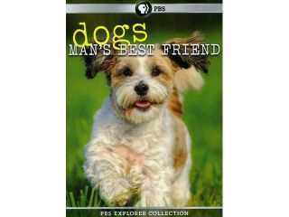 Dogs: Man's Best Friend