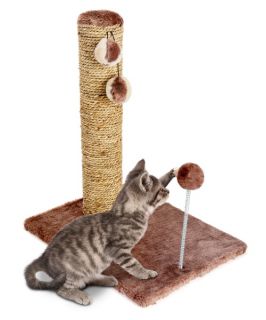 ABC Pet Sea Grass Scratcher with Spring Toy