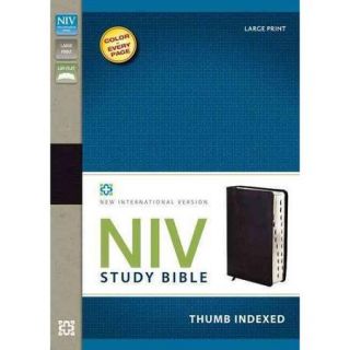 Holy Bible: New International Version Black Bonded Leather Study Bible