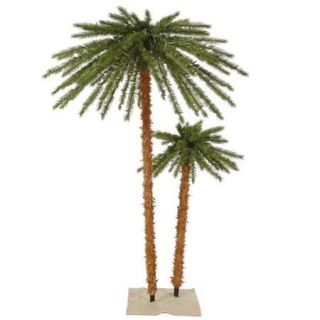 6' Pre Lit Tropical Palm Tree Artificial Christmas Tree   Clear Lights