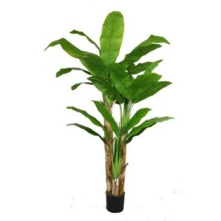 Laura Ashley 48 in. x 48 in. x 72 in. H Banana Tree with Real Touch Leaves VHX117