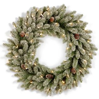 Snowy Concolor Fir Pre Lit Wreath with 100 Clear Lights