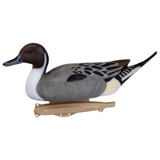 Flambeau Storm Front Classic Pintail Decoys 6 Pack 876380
