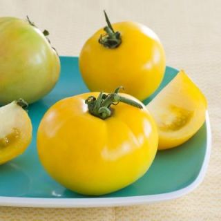 Bonnie Plants 4.5 in. Lemon Boy Tomato 122