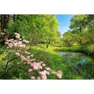Ideal Decor 100 in. x 144 in. Park in the Spring Wall Mural DM136