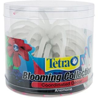 Tetra Blooming Collection, Anemone