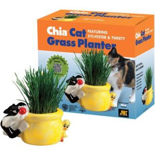 As Seen on TV Chia Cat Grass Sylvester and Tweety