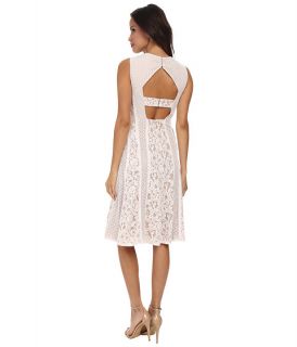 BCBGMAXAZRIA Avril Round Neck Lace Blocked Dress