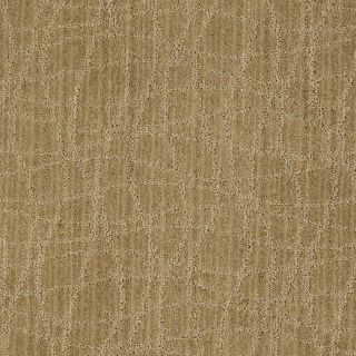 STAINMASTER Feature Buy Boutique Honey Grove Cut and Loop Indoor Carpet