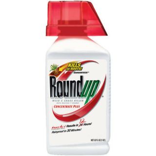 Roundup Weed & Grass Killer Concentrate Plus, 32 oz